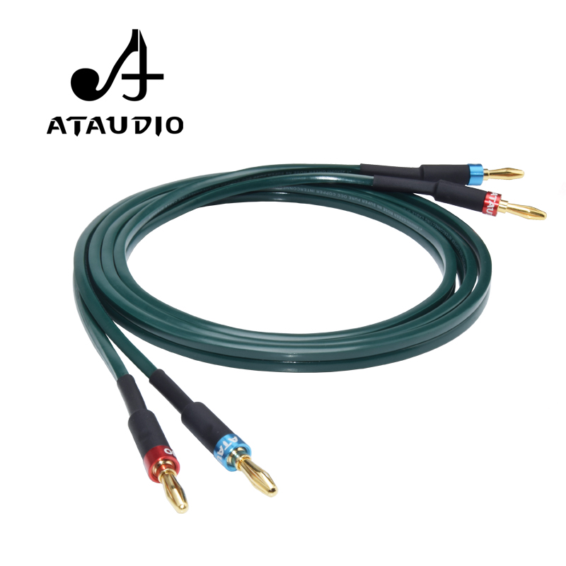 Tube Headphone Amplifier Otl - Cavo per Altoparlanti HiFi ATAUDIO con