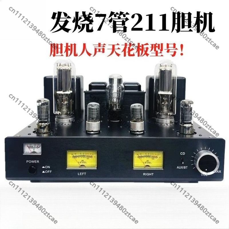 Class A Tube Amplifier 845 - Amplificatore a Valvole Integrato di Classe