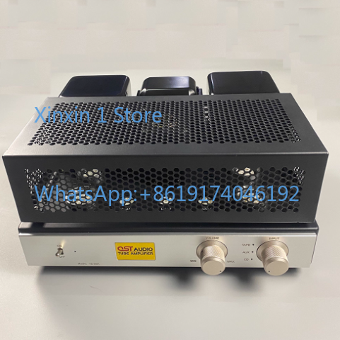 Macchina per bile con tubo a v - Tube Amplifier Kit Diy recensione e prezzo
